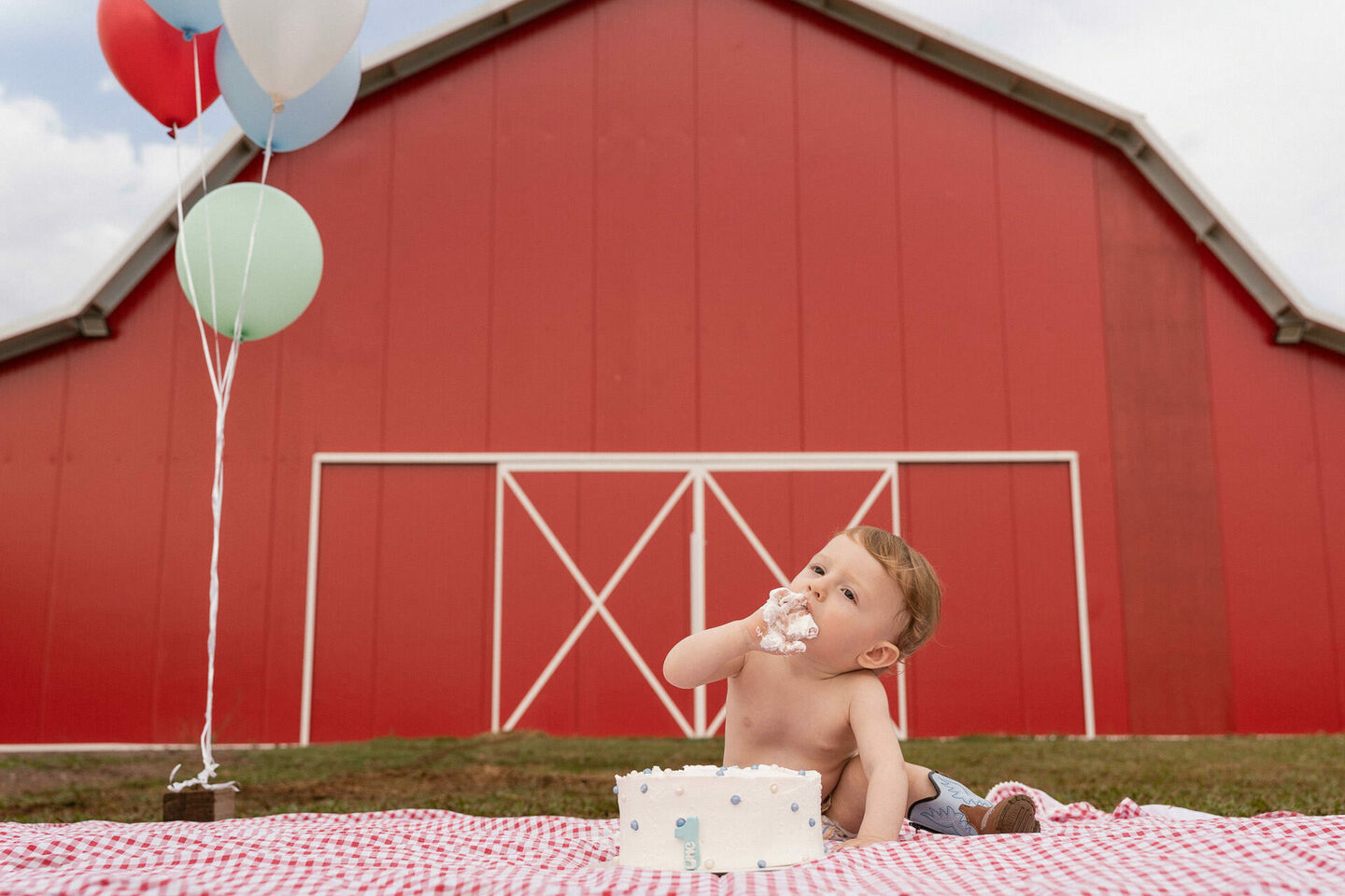 Leandro - Ensaio de 1 ano Leandro - Ensaio de 1 ano